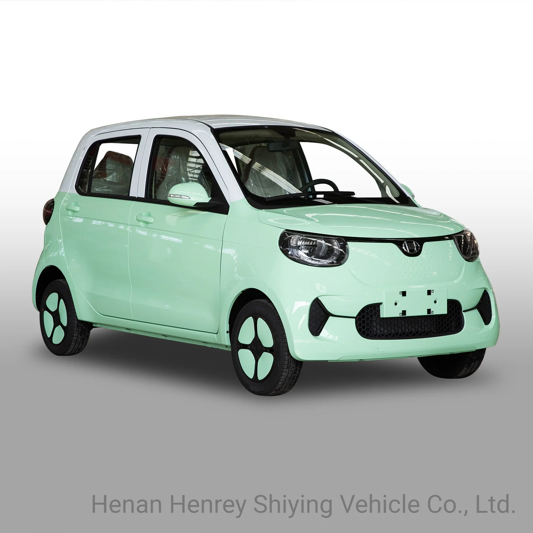 Popular Color Family EV Electric Car for Young People