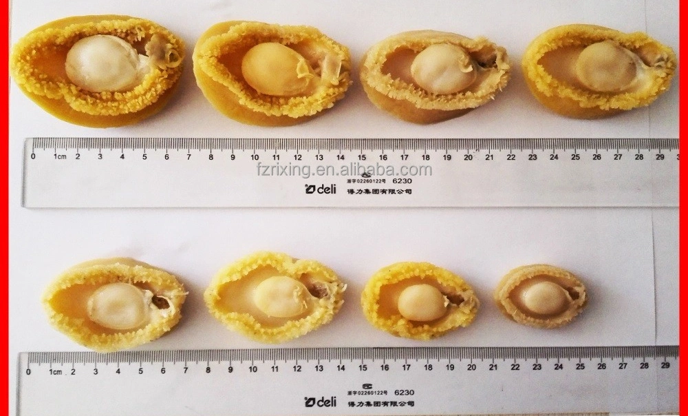 Latest Canned Abalone Food Price From Fresh Breeding Material