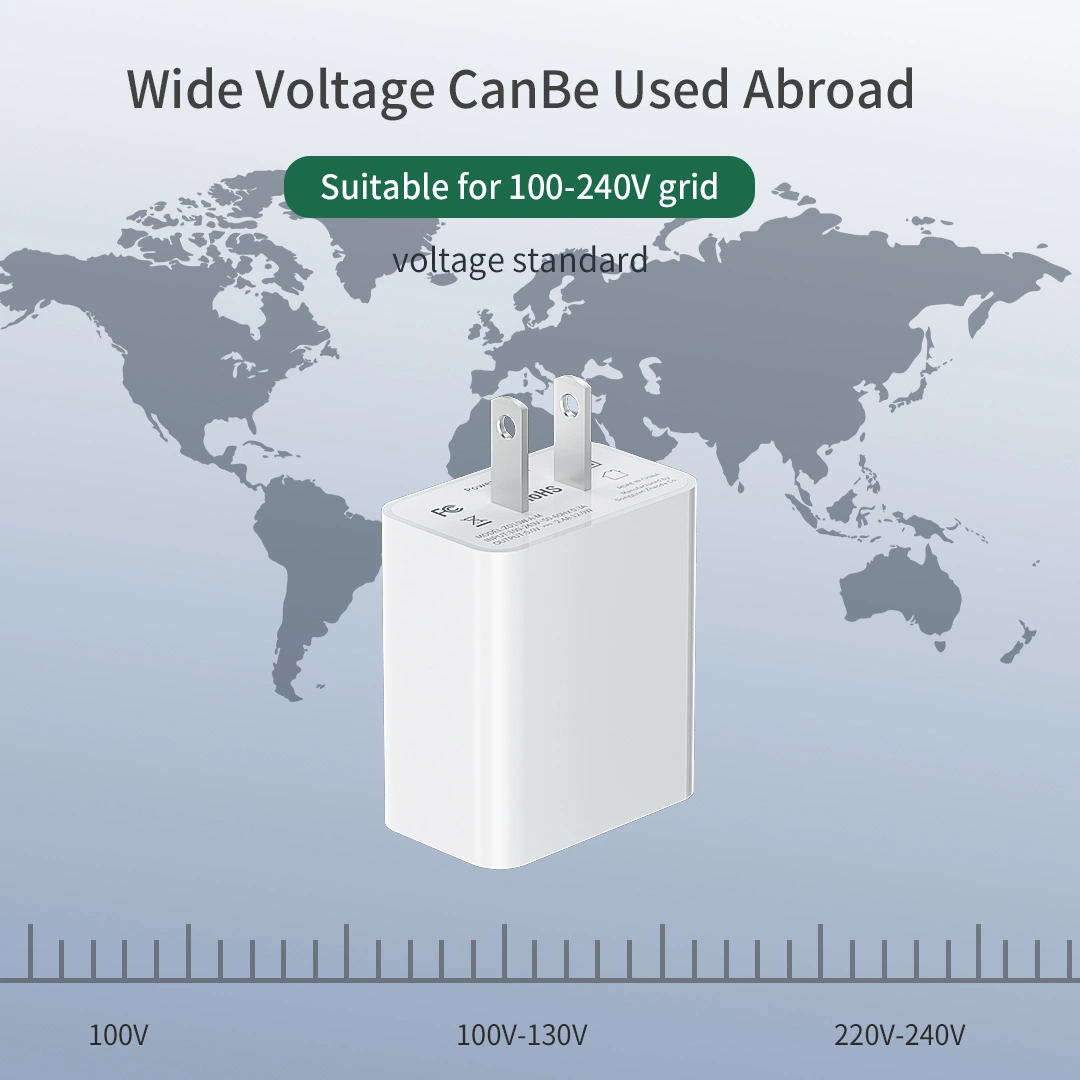 OEM ODM 12W USB a Power Adapter USB Charger Fast Charging Charger for Mobile Phone 12/Phone 12 PRO