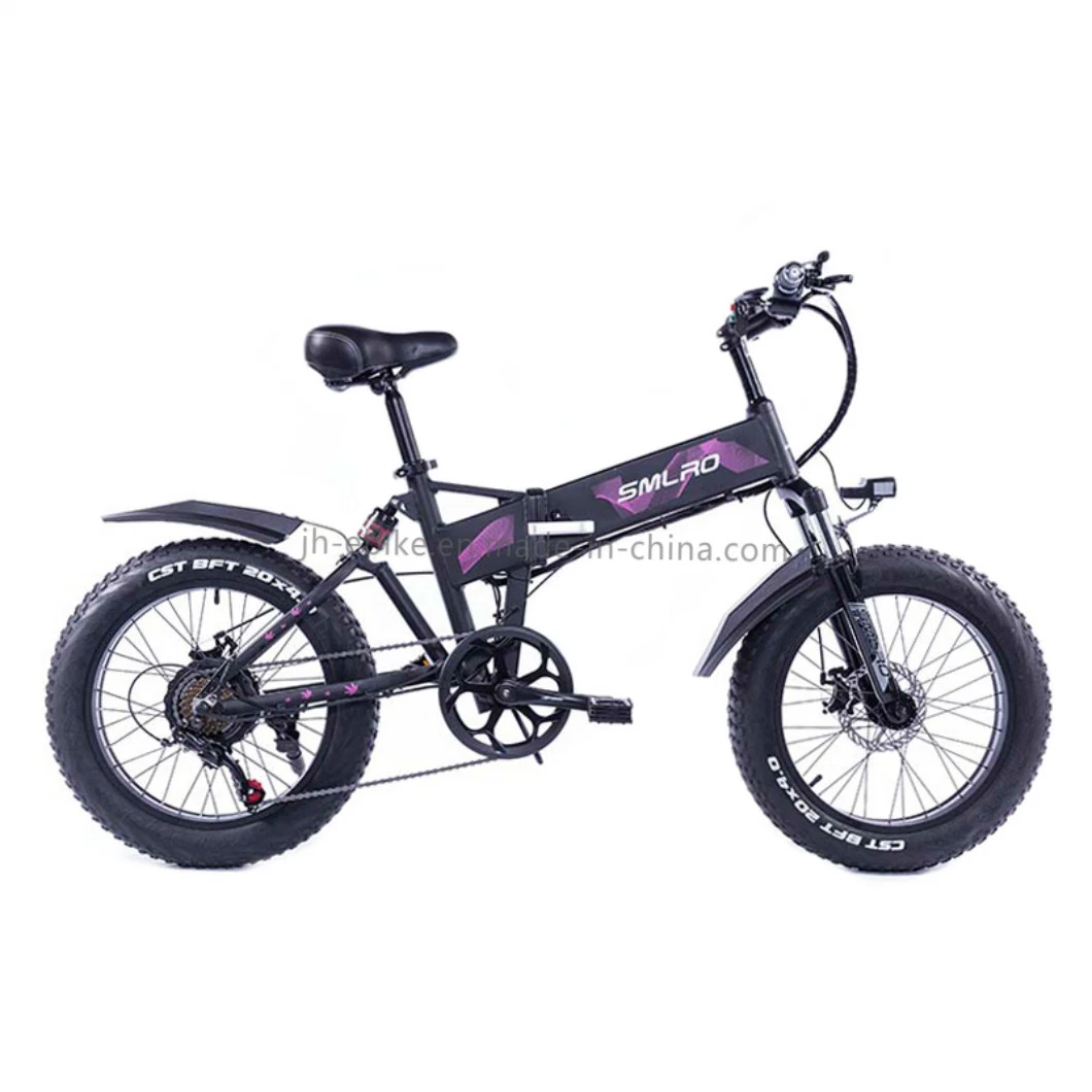 Dropshipping Electric Bicycle 20 Inch New Design Electric Bicycle 1000W E Bike 48V Folding Electric Bicycle Battery