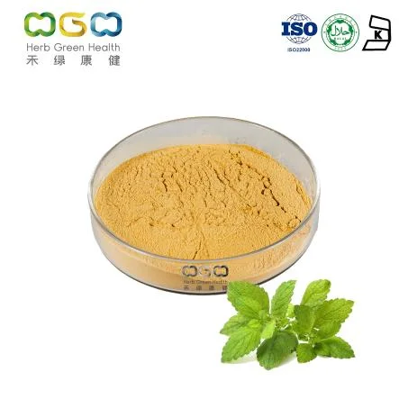 Factory Supply Wholesale Natural Source Rosmarinic Acid Melissa Officinalis Lemon Balm Leaf Extract Powder