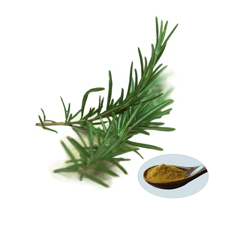 CAS No. 3650-09-7 Manufacturer Supply Rosemary Extract Carnosic Acid