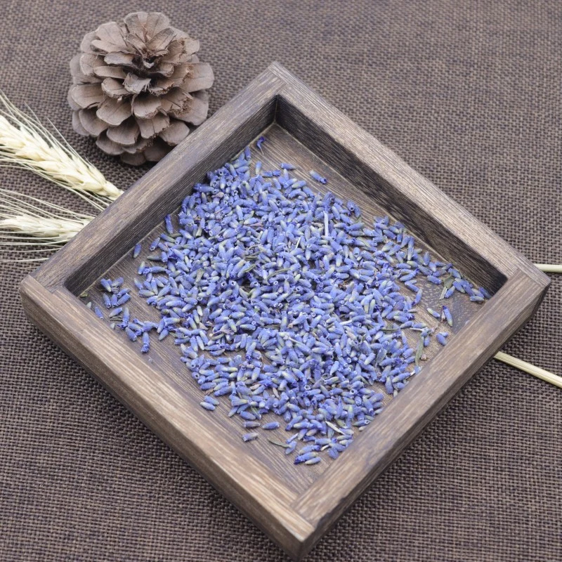 Hot Sale Lavender Tea Air Dried Quality Lavender Buds for Beauty & Health