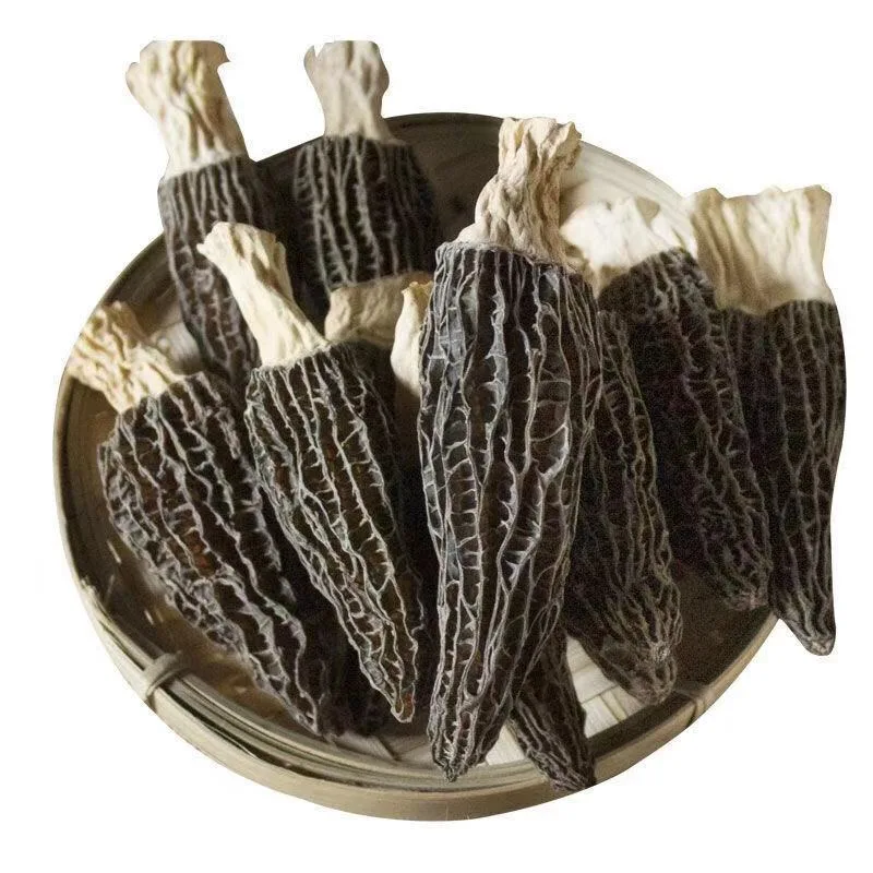 Wholesale/Supplier Dried Morel Morchella, proveedor de China