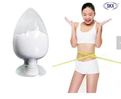 Factory Supply Slimming Products of L-Carnitine