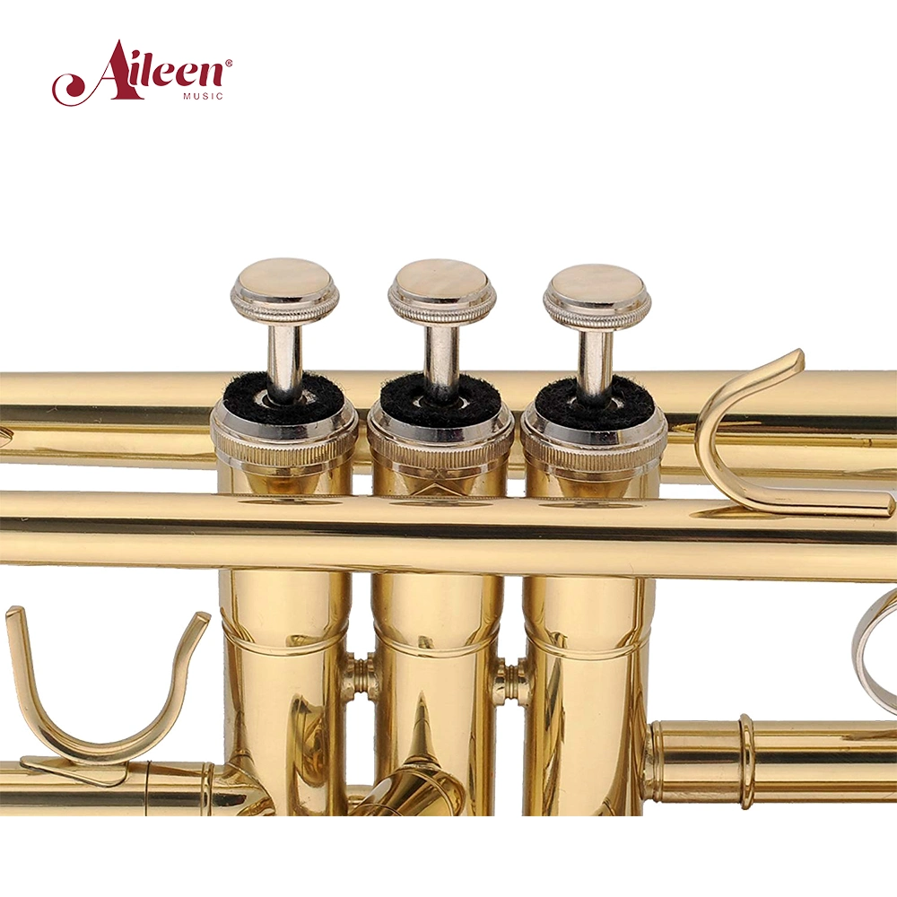 Golden Lacquered Brass Body Bb Key Student Trumpet (TP8001G)