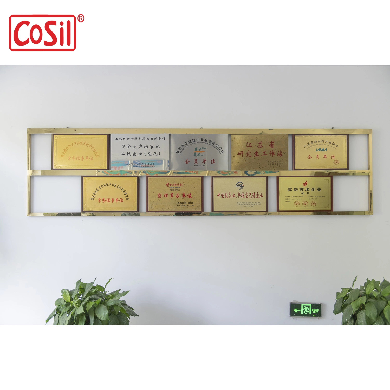 80000cst Cosil Manufacturer Oh Polymer CAS 63148-60-7