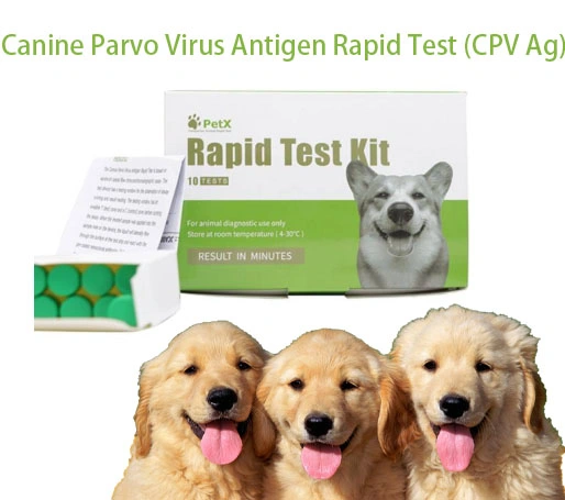 Canine Parvo Virus Antigen Rapid Test Parvovirus Test Kit