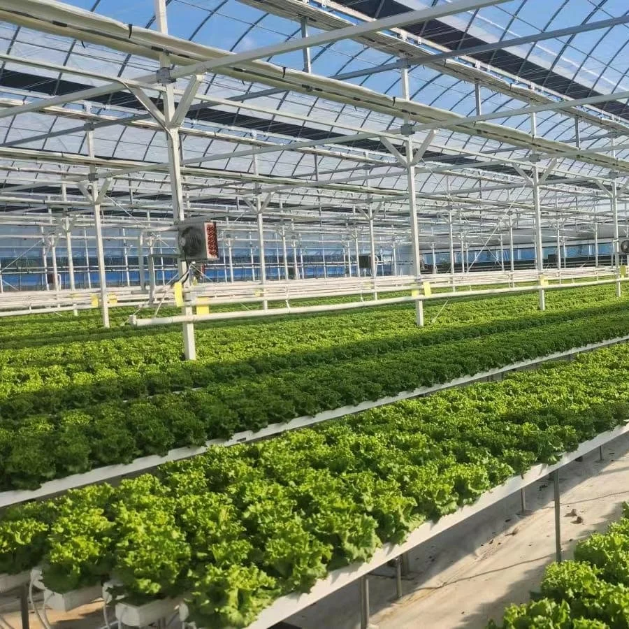 Hydroponic Systems PVC Channel Pipes Gn Greenhouse Hydroponic Nft Channel PVC for Plant Growing Nft System 6 Months Online Support Retail Farms