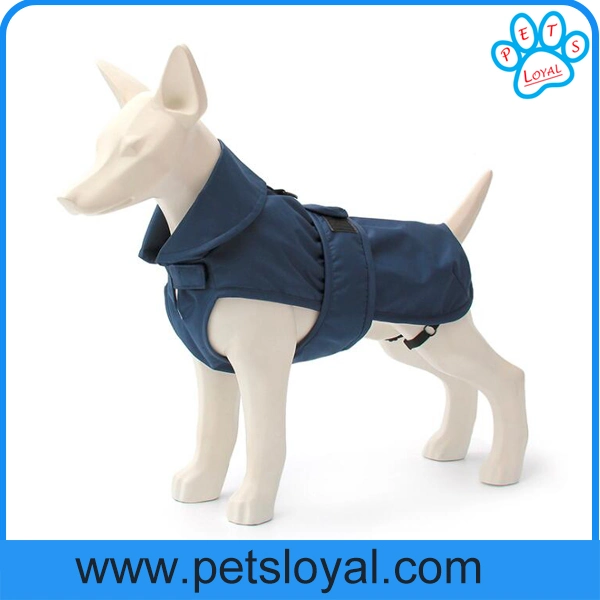Amazon Standard Perro ropa accesorios para mascotas