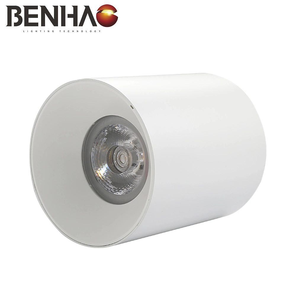 preço de fábrica OEM ODM/LED moderna Luminária interior baixar as luzes de tecto