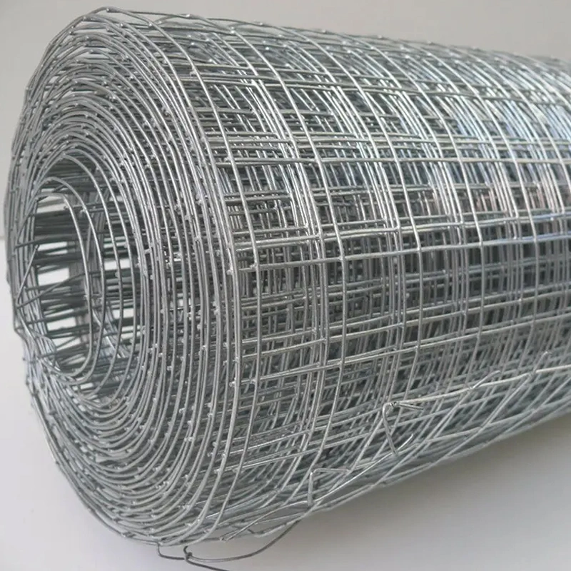 Hot Dipped Electro Galvanized Welded Wire Mesh PVC Coated Welded Wire Mesh