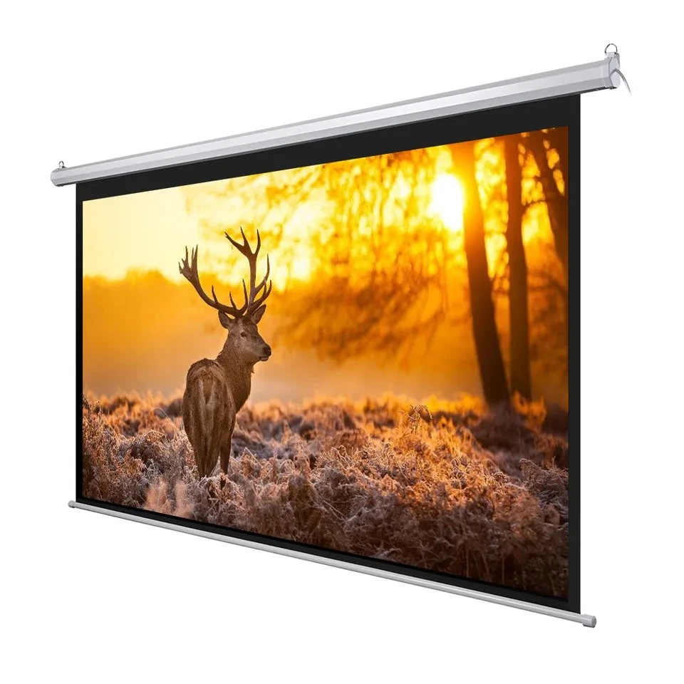 120 Inch Electric Projection Screen Office Supplier