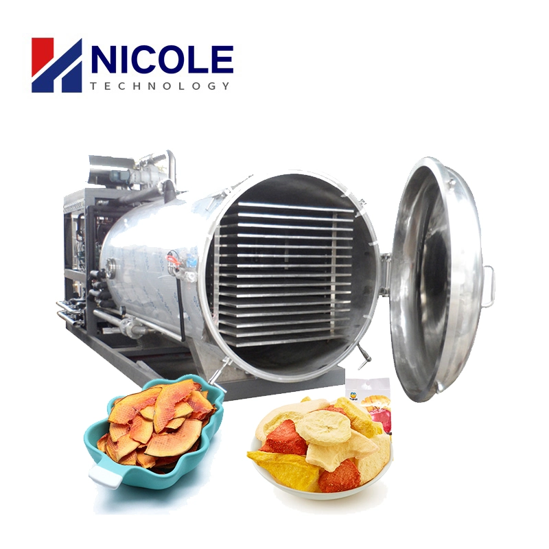 380V Good Quality Fruit Dehydration Porous Effect Strawberry Vacuum Freeze Drying Equipment