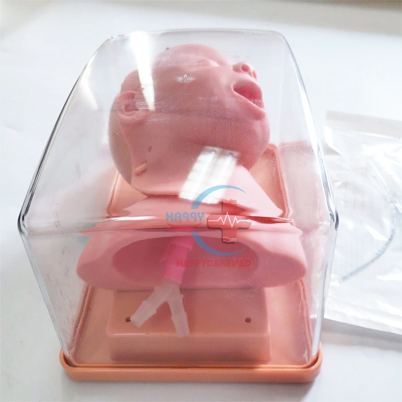 Hc-S034 Boa qualidade importada de intubação traqueal Neonatal de PVC modelo de treinamento/Advanced Infant Intubação Traqueal modelo de treinamento