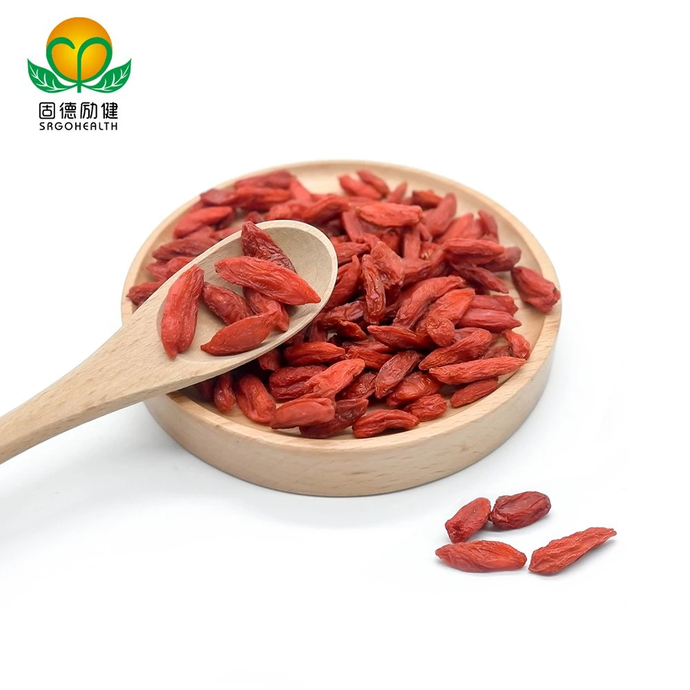 EU Hot Sale Best Quality Conventional Goji Berry