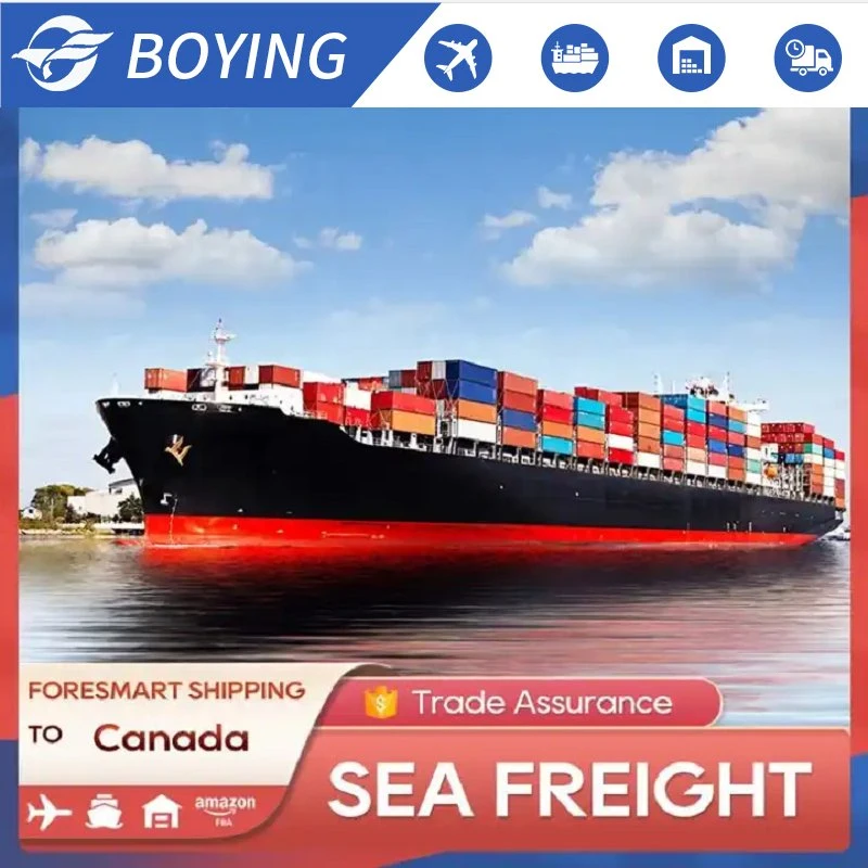 Safe and Professional Freight Forwarder Sea Shipping Agent Door to Door Service From China to USA UK Europe