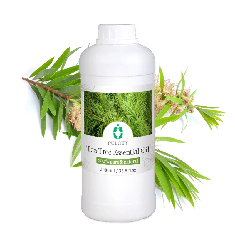 Safe Essential Oil Tea Tree for Soap Face Cream Moisturizer Deodorant Disinfectant Air Fresher Aronatherapy Tea Tree Oil