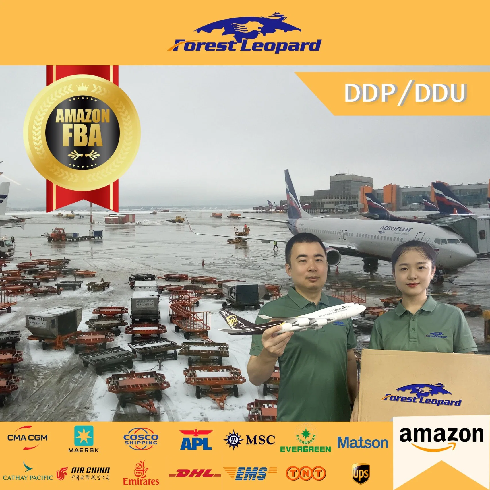 Professional Ocean Freight Forwarder a Corea, Japón, Estados Unidos Países Bajos Portugal Shenzhen agente del Servicio de Transporte Marítimo en China