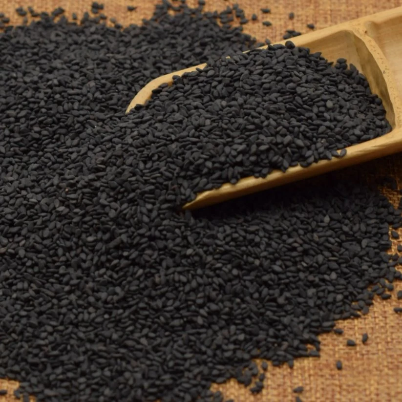 Fabricante China Roasted Black Sesame sementes para pó Sesame