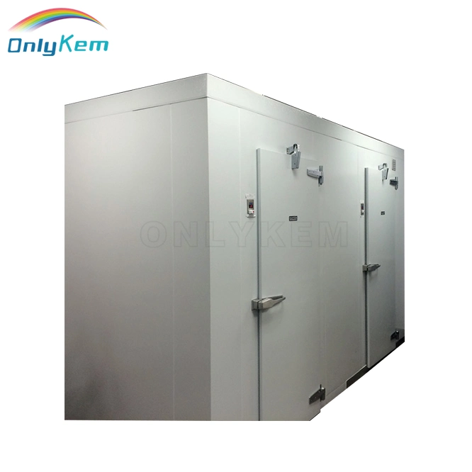 Customized 20 Tons Fruit and Vegetable Cold Storage Room