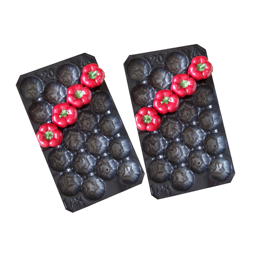 China Professional Producer SGS, FDA Standard Fruit Blister Packing Made of PP for Protective, Display in Supermarket