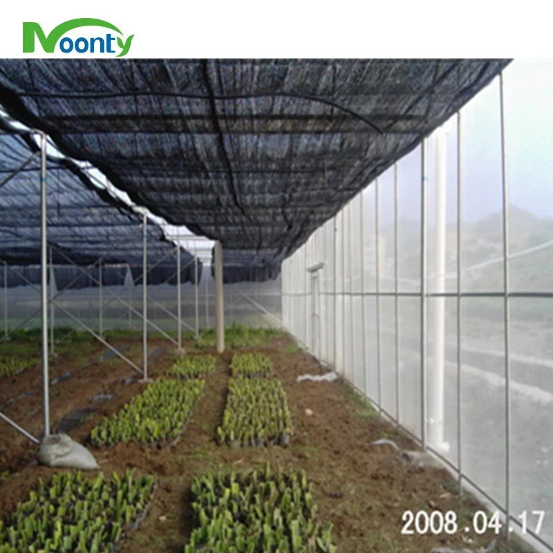 High Tunnel Film Covered Tomato Greenhouse with Shade Net Agricultural Green Houses