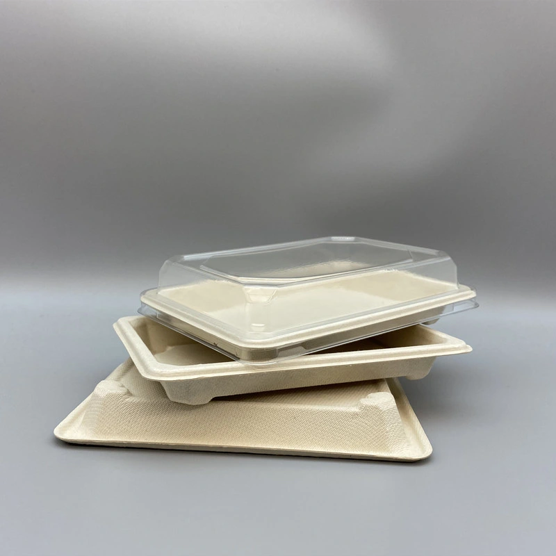 Plastic Free Ecofriendly Take out Foodbox Sugarcane Sushi Tray Biodegradable Tableware