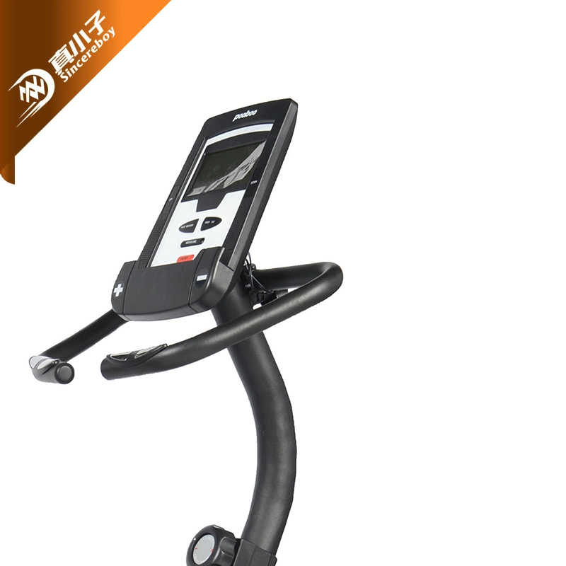 Gimnasio Interior Magnetic Recumbent Bike Fitness ejercicio Spinning Home Gym