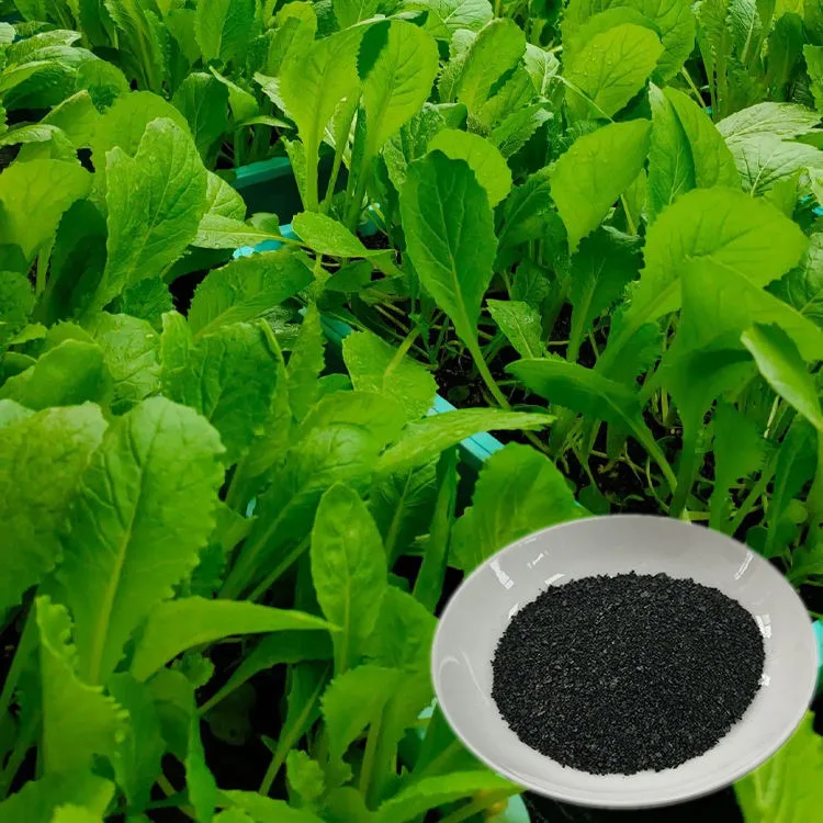 Best Seller Organic Humic Acid Fertilizer 100% Water Soluble