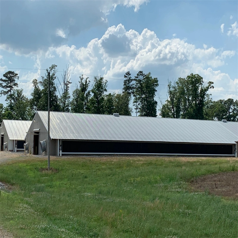 China Low Cost Prefab Metall Stahl Struktur Farm Building Kuh Hühnerschaf Scheune Schuppen zum Verkauf