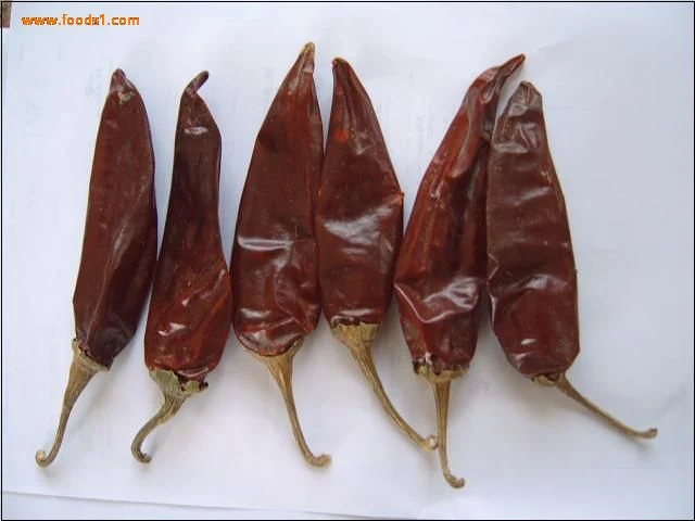 Vendre à chaud de poivron rouge piment Jinta avec la meilleure qualité / Xinglong / Chili / sec de poivron rouge