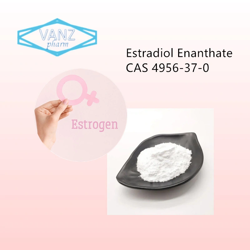 Hubei Vanz Estradiol/ Estradiol /Estradiol Enanthate /Estradiol Cypionate /Estradiol Valerate with High Purity Fast Shipping MOQ10gram