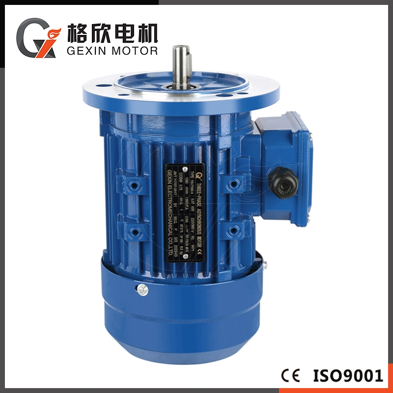 250W Ms Series High Efficiency Three Phase Asynchronous with Aluminium Housing Electrical Motor Price