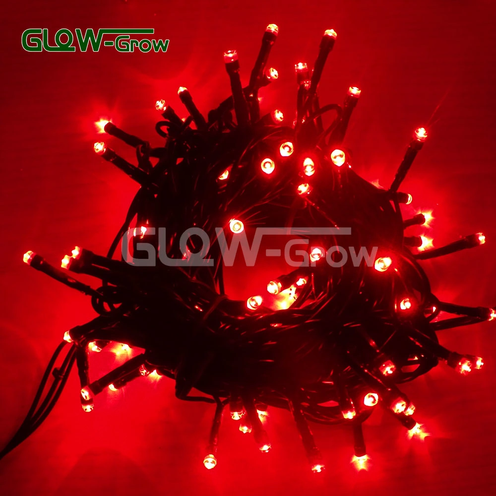 Connectable Warm White LED Fairy Light Twinkle String Light Christmas House Decor