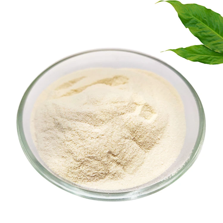 A granel 99% de polvo puro grado alimenticio Thickeners Xanthan Gum for Aditivo alimentario