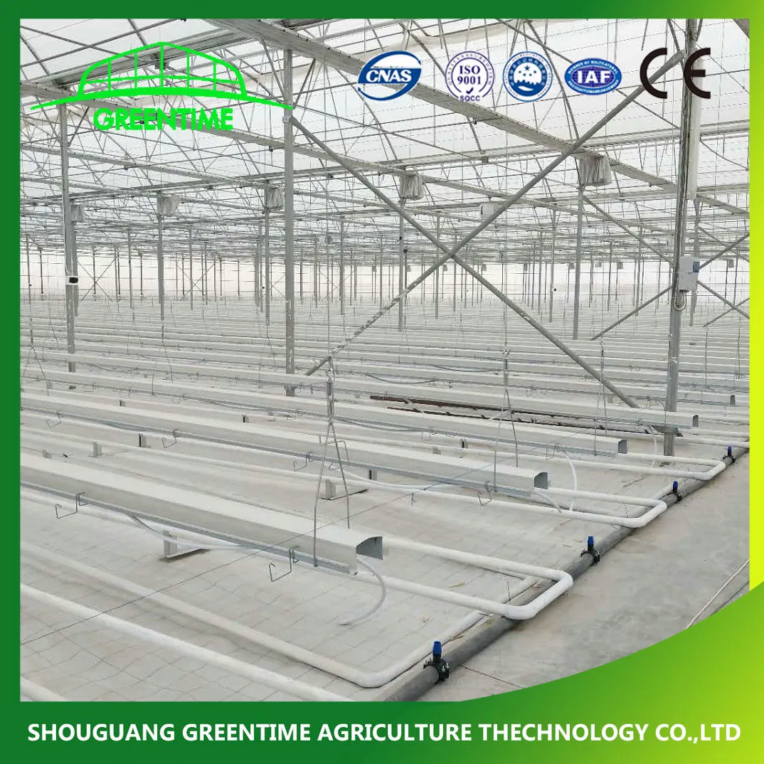 Commercial 6mm Polycarbonate Greenhouse with Growing System