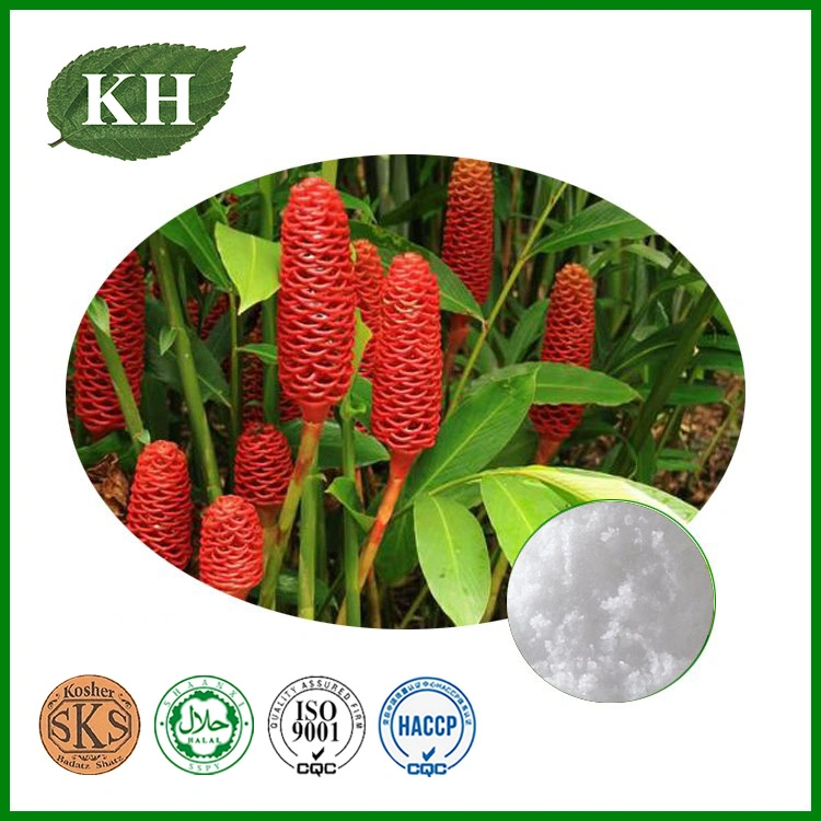 Factory Supply High quality/High cost performance Zingiber Zerumbet Extract Zerumbone 98%, 99%