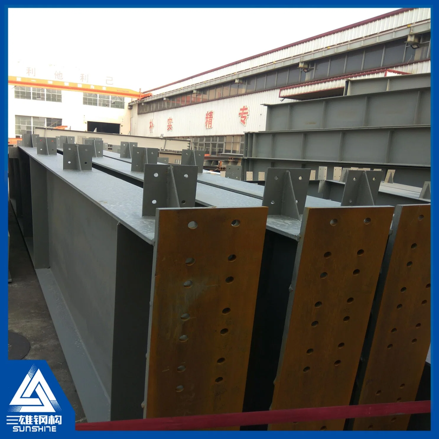 China Building Material Prefabricated Light Steel Structure for Warehouse/Workshop/Cow Shed/Chicken House