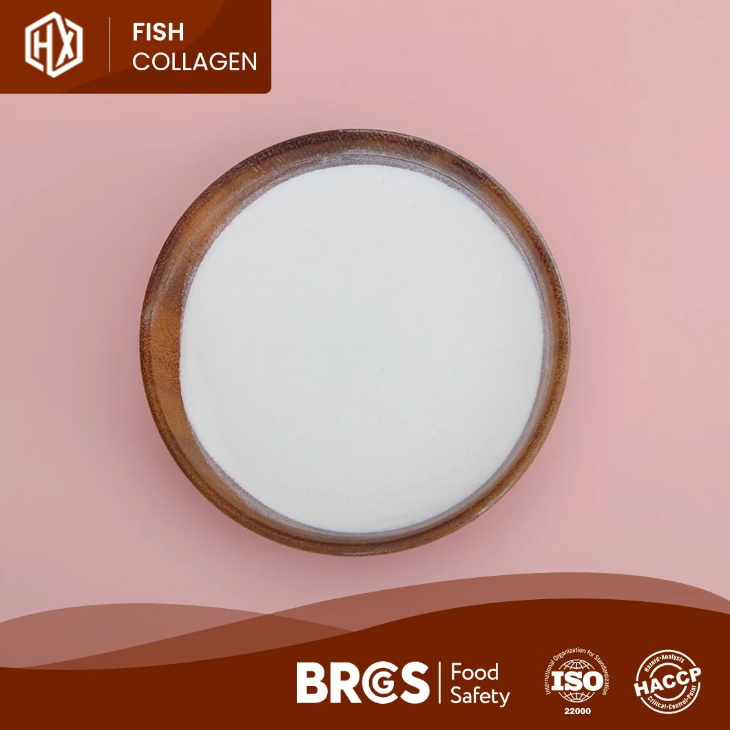 Haoxiang Fish Original Collagen Powder Supplier Supplement Vital Proteins Fish Collagen Beauty 500-1000dal/300-500dal Molecular Weight Tilapia Scale Collagen