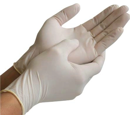 China Medical Examination Gloves Surgical Supply Powder or Powder Free Latex Gloves