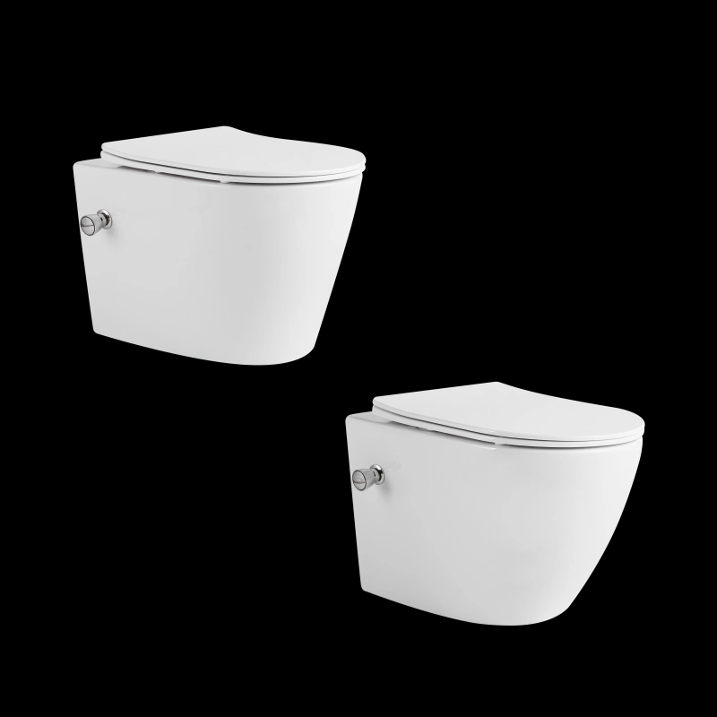 Matt Color OEM ODM Supplier Wc Suspendu Inodoro High Quality European Standard Ceramica Wall Hung Water Closet Mounted Toilet with Bidet