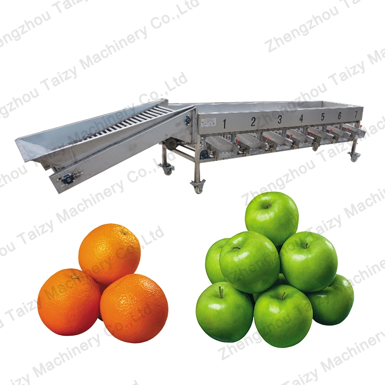 Commercial Persian Lime Citrus Fruit Size Sorting Machine Orange Grading Machine