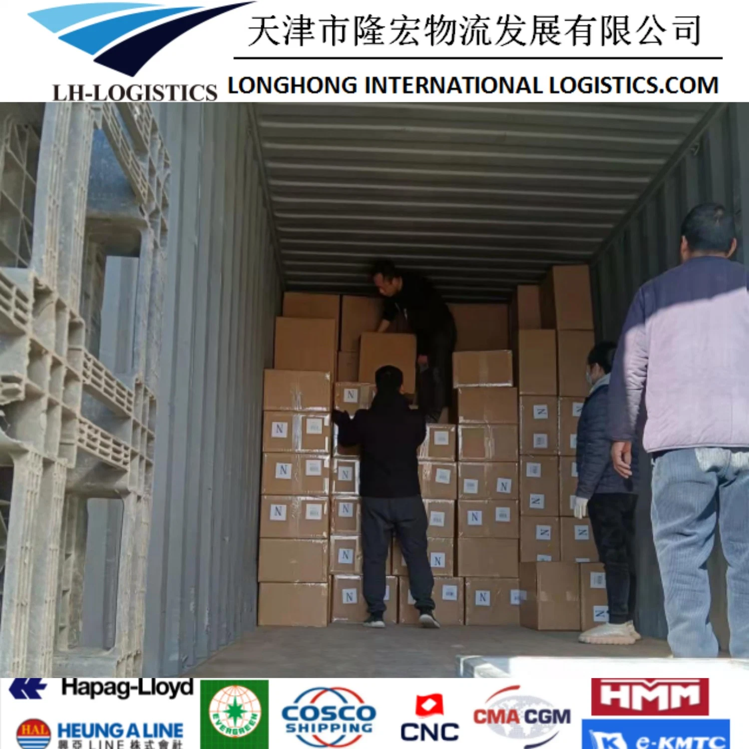 Servicios profesionales de Transporte de Transporte de Transporte marítimo desde Shanghai, Tianjin China a Surabaya, Sudeste de Asia.