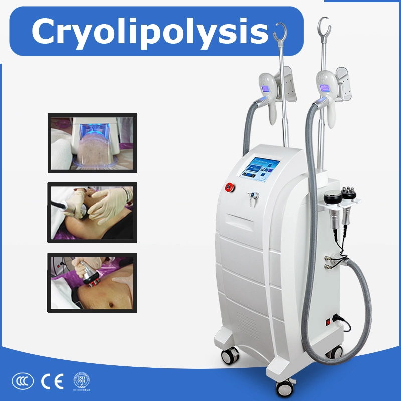 Cavitation RF Cryo Cryolipolysis Beauty Equipment for Body Slimming