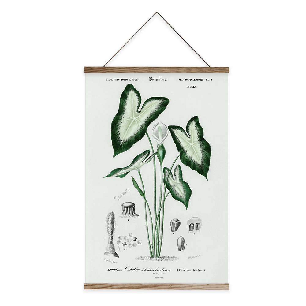 Usine Herbier Herbarium toile personnalisé Vert Imprimer la peinture décorative