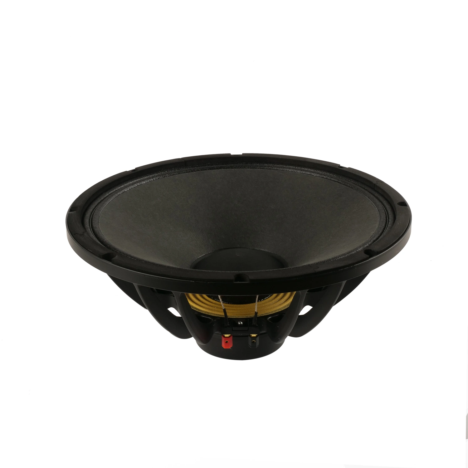 15 Inch Full Range Neodymium China Audio Water Proof Speakers