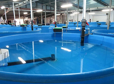 Wide Application Range Large Storage Capacity Foldable and Environmentally Friendly PVC Tarpaulin Steel Pipe Bracket Fish Pond