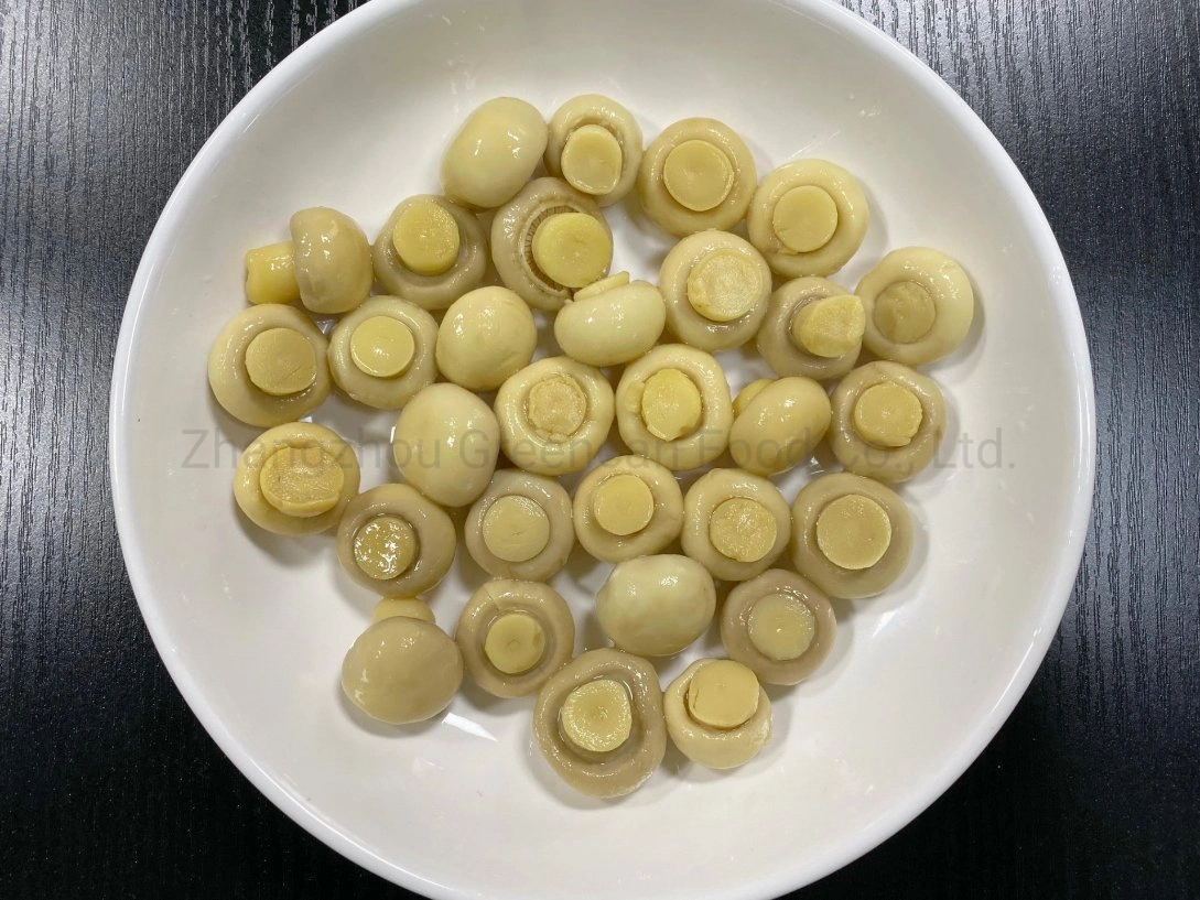 China Factory Fresh Vegetables Canned Mushroom Whole with Private Label