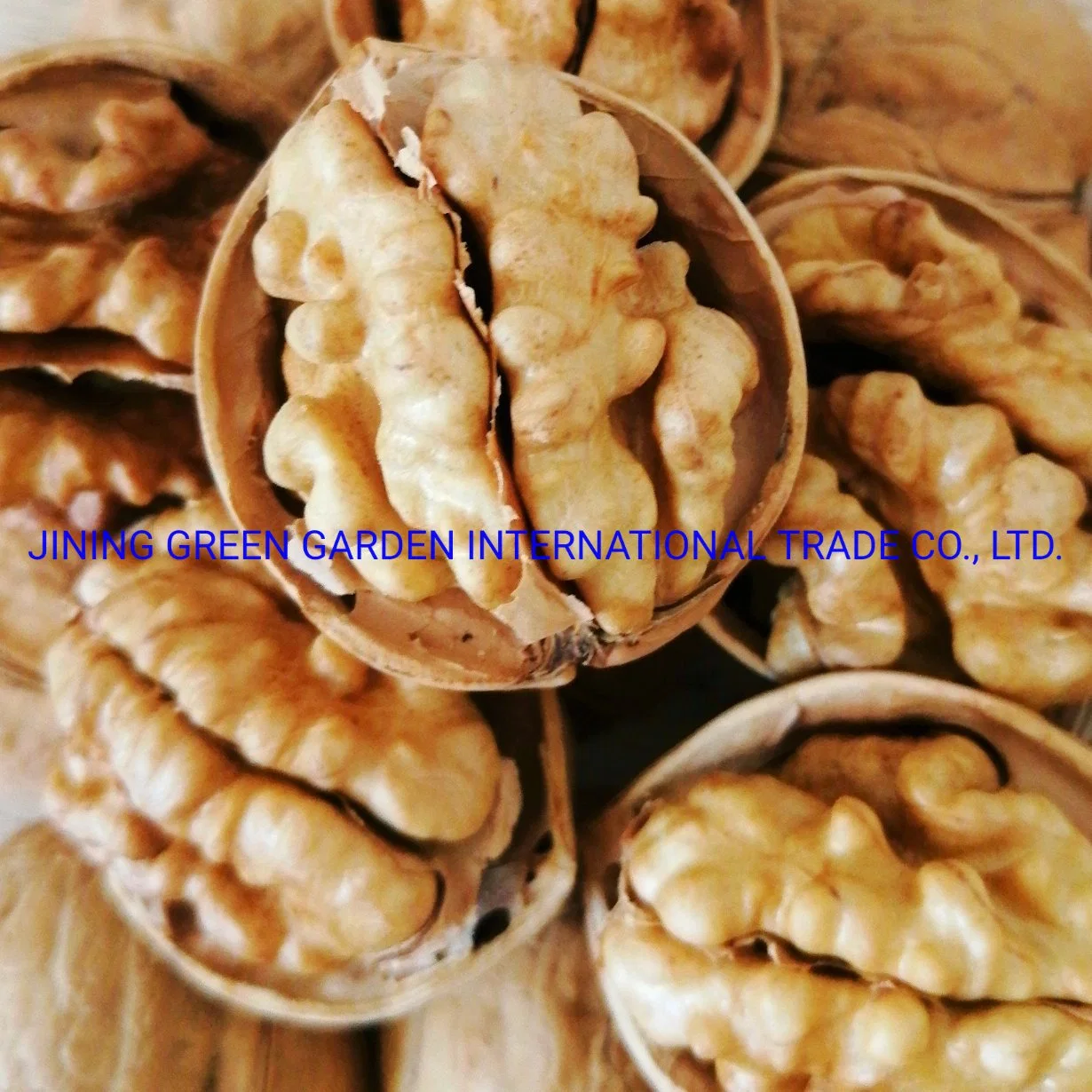 New Crop Xinjiang185 Extra Lh Walnut Kernels 90% up, Manufacture Supply Organic Walnut Kernel